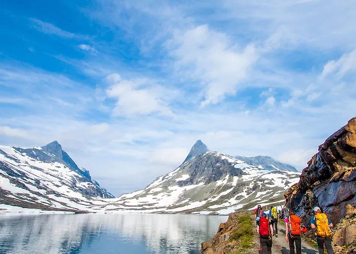 Sommerhotellet 3* Vang I Valdres